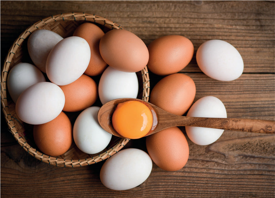 Egg