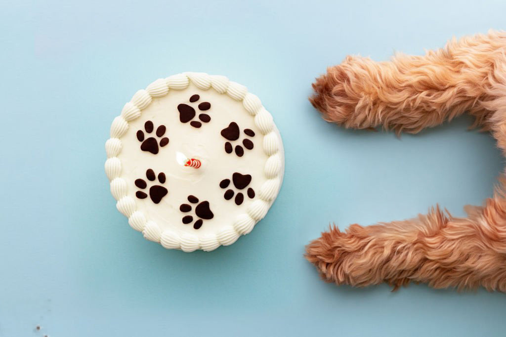 Pet Cake