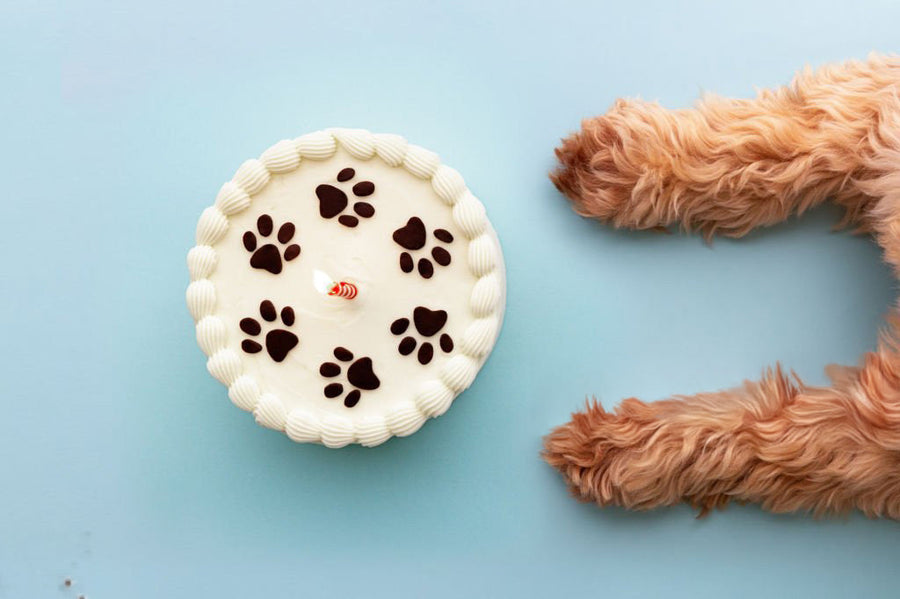 Pet Cake