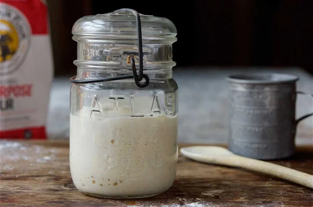 Sourdough starter troubleshooting