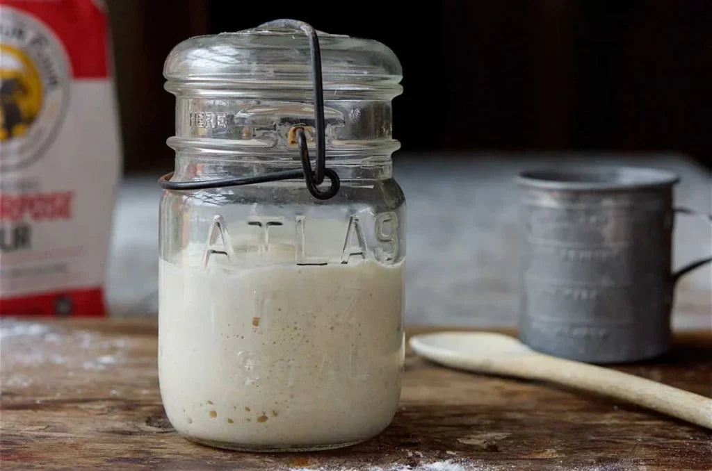 Sourdough starter troubleshooting