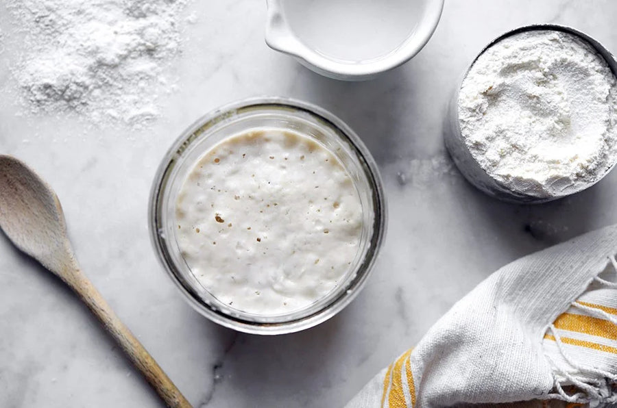 Feeding and Maintaining Your Sourdough Starter