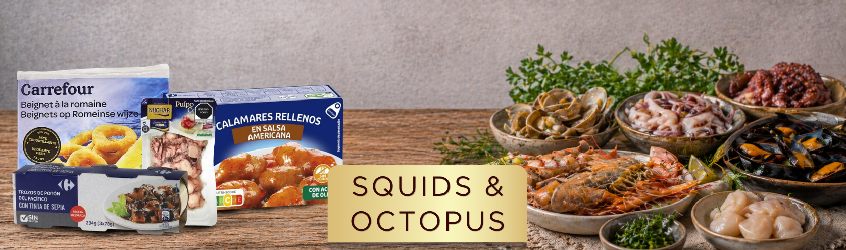 SQUIDS & OCTOPUS